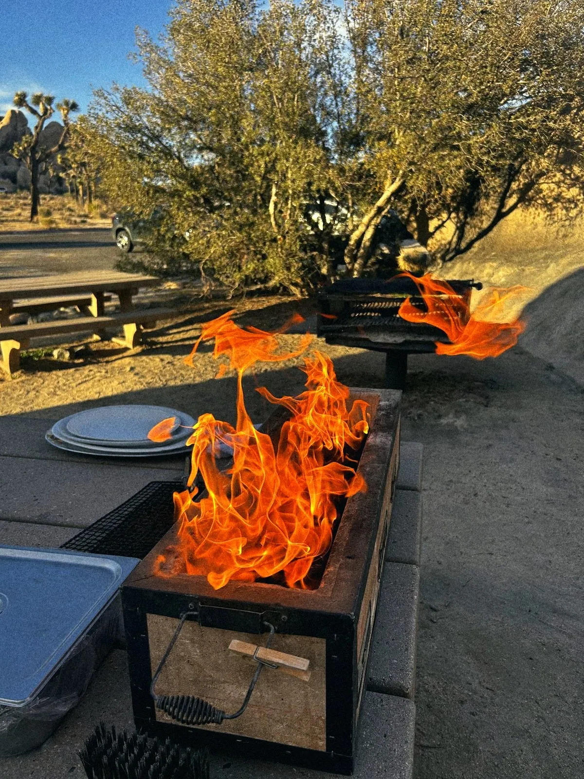 A fire crackling in a camp fire box under the trees