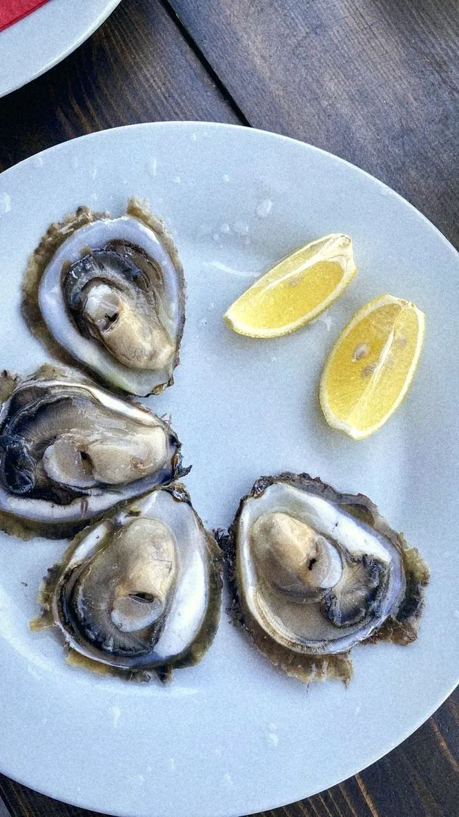 Four oysters on the half shell with lemon