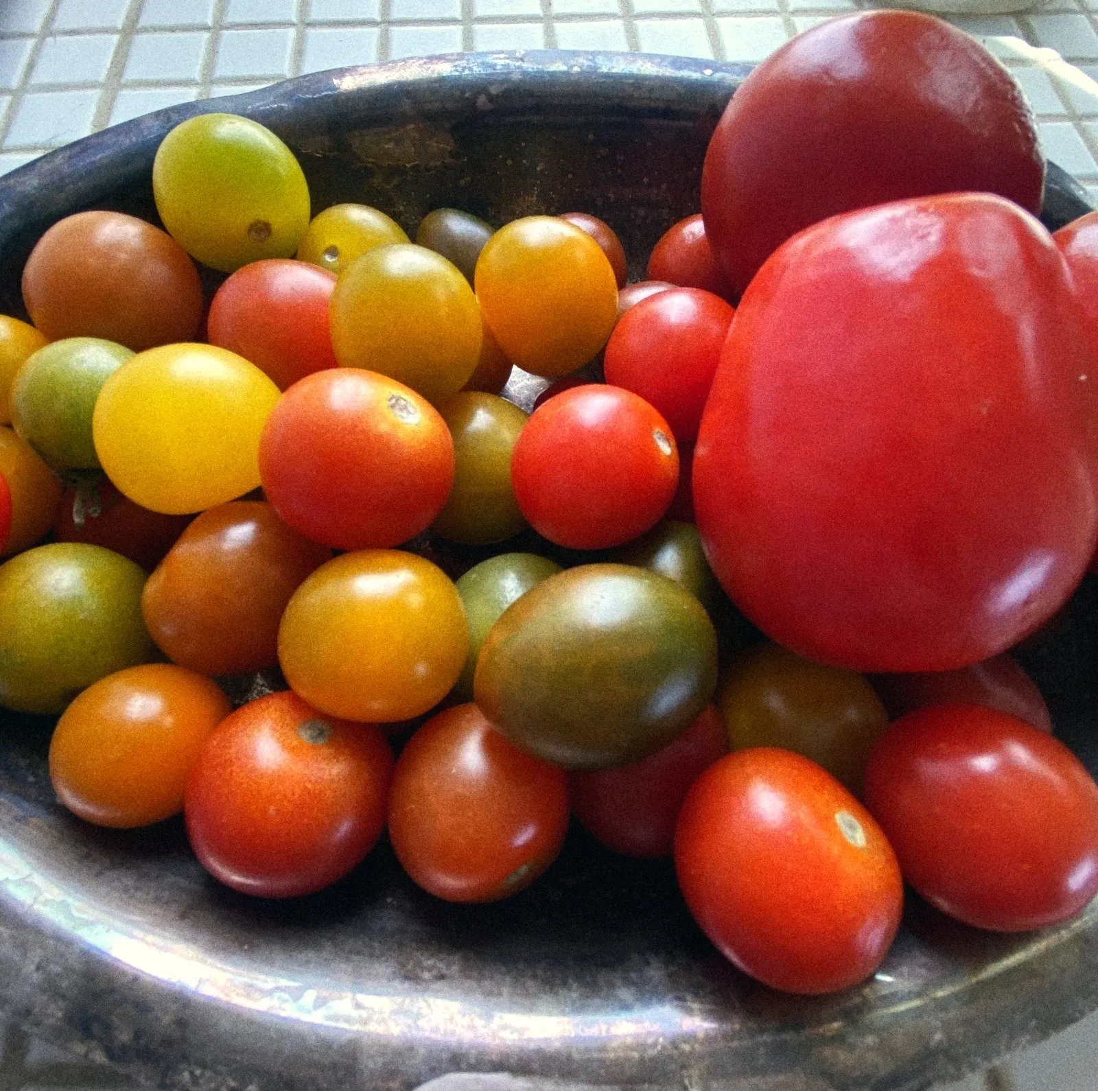 A silver bowl of heirloom cherry tomatoes
